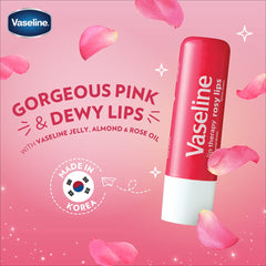 Vaseline Lip Care Stick (4.8g)