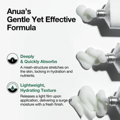 Anua Heartleaf Centella Red Spot Cream 30g