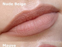 Ulta Beauty Pout Perfection (Individual)