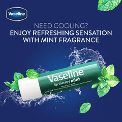 Vaseline Lip Care Stick (4.8g)