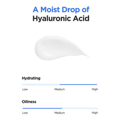 Isntree Hyaluronic Acid Aqua Gel Cream 100ml