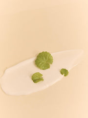 HEVEBLUE Salmon Caring Centella Cream