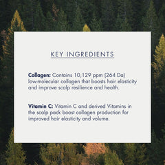 Treecell Collagen Boost Scalp Pack 200ml