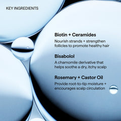 BRIOGEO
SCALP REVIVALT™ ROSEMARY PRE-WASH OIL