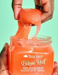 Tree Hut bikini reef shea sugar scrub 510g