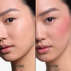DIOR Rosy Glow Powder Blush 4.5g