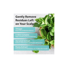 A'pieu Mint Scalp Hair Vinegar 200ml