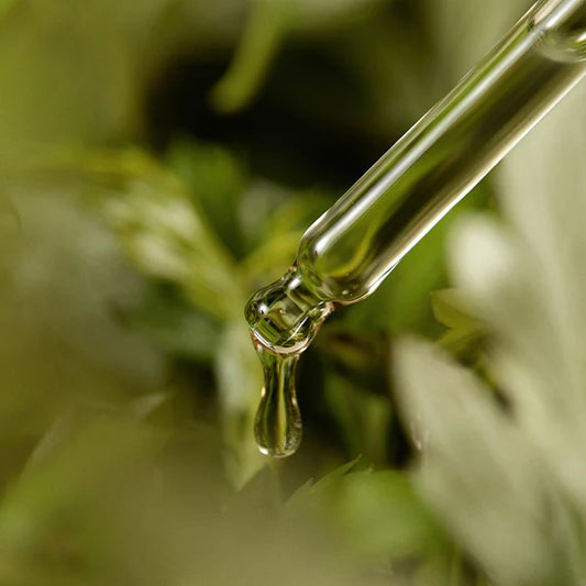 I'M FROM- Mugwort Serum 30ml