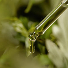 I'M FROM- Mugwort Serum 30ml