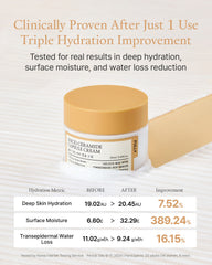 FULLY Rice Ceramide Capsule Cream 90ml