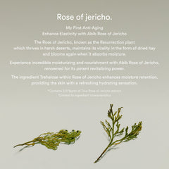 Abib Jericho Rose Bifida Serum Firming Drop
